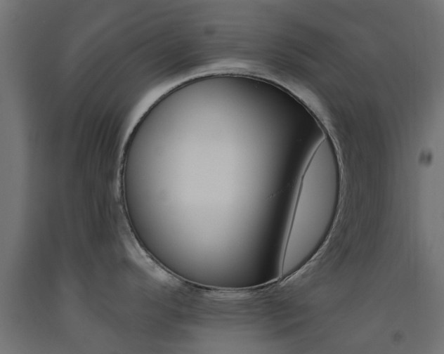 X0000093451296200710120958