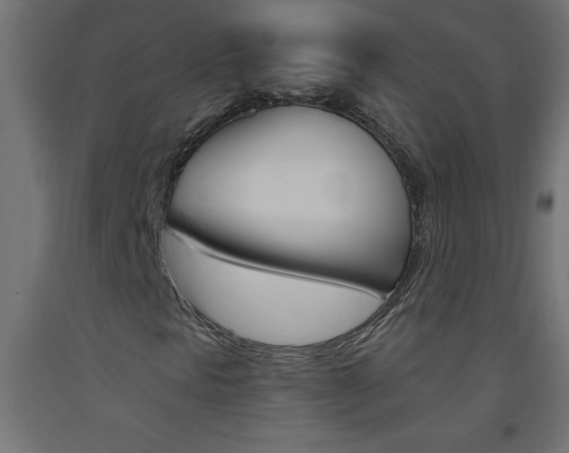 X0000093451297200710120957