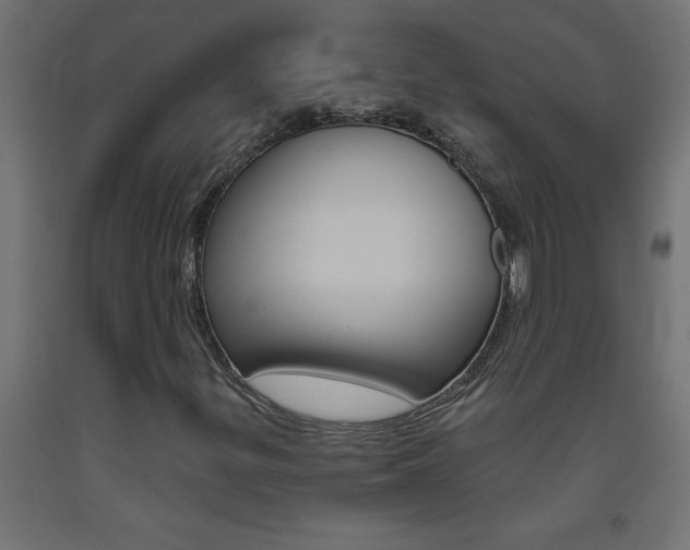 X0000093451299200710120957