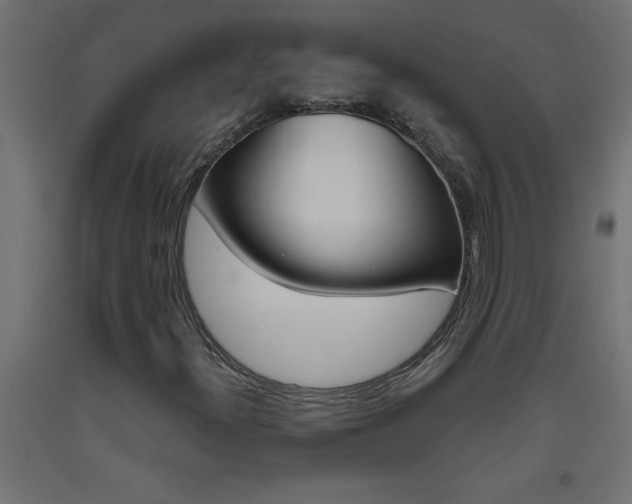 X0000093451300200710120957