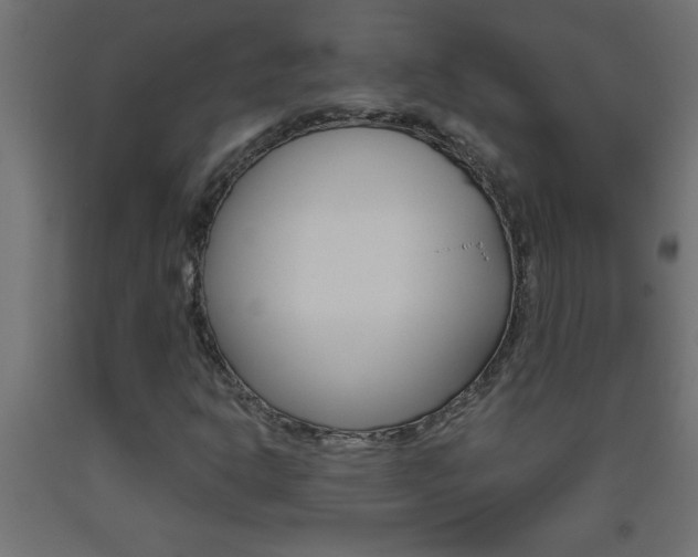 X0000093451302200710120957