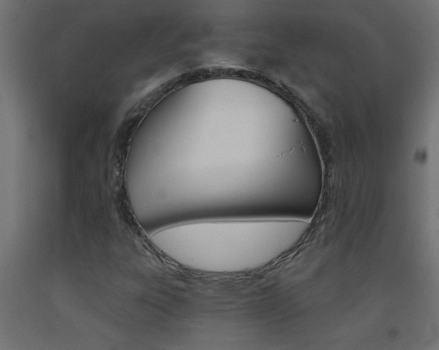 X0000093451303200710120957