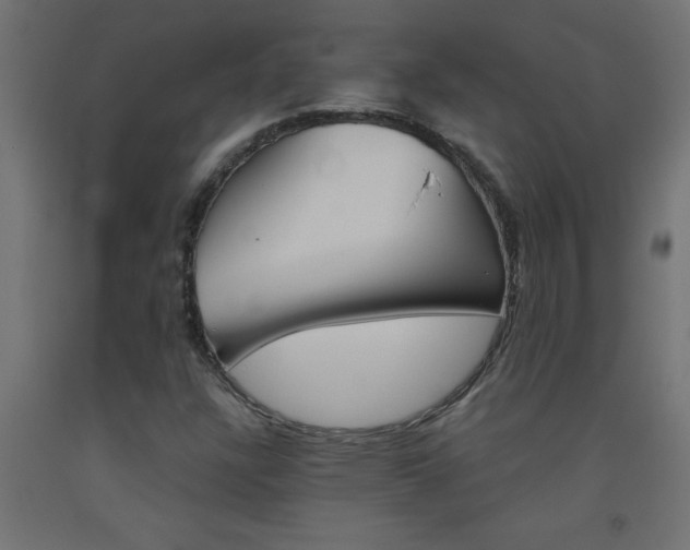 X0000093451304200710120957