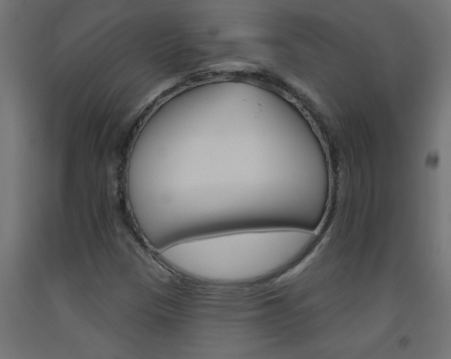 X0000093451305200710120957