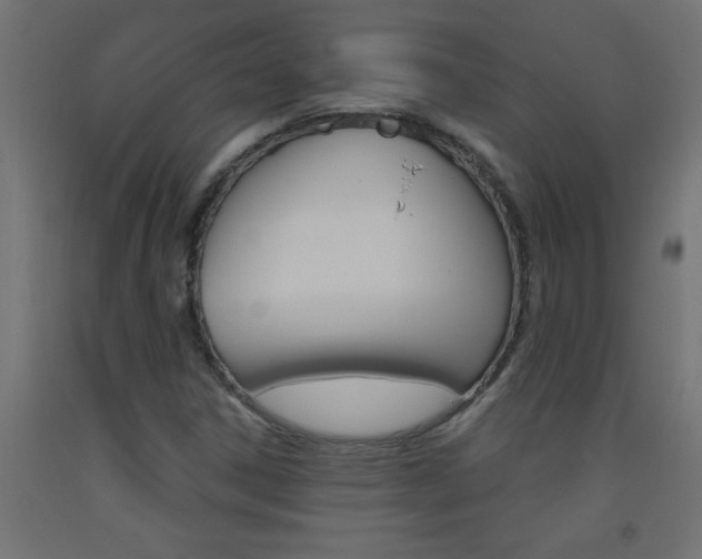 X0000093451306200710120957