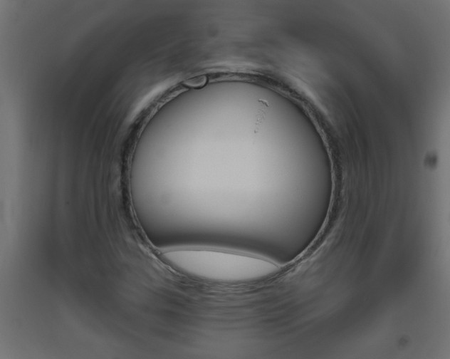 X0000093451307200710120957