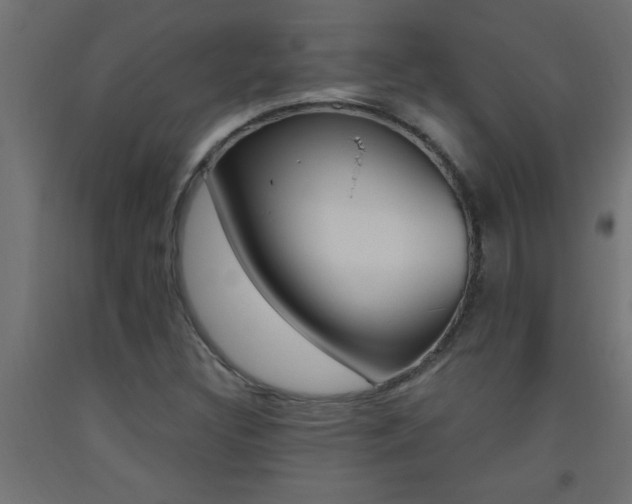 X0000093451308200710120957
