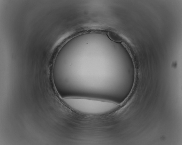 X0000093451309200710120957