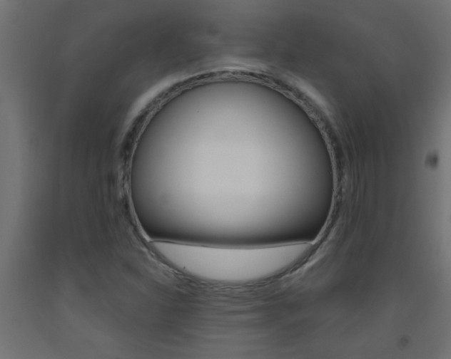 X0000093451310200710120957