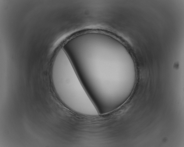 X0000093451311200710120957