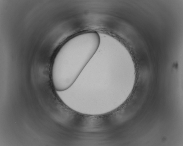 X0000093451314200710120957