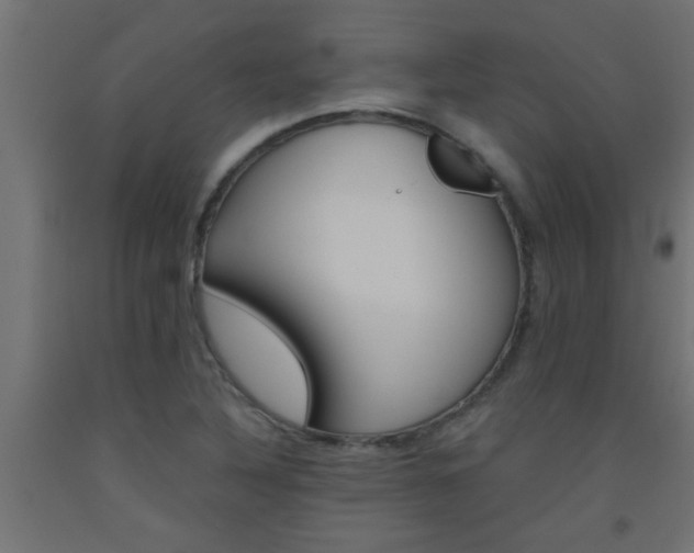 X0000093451316200710120957