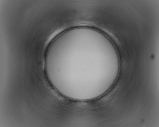 X0000093451317200710120958