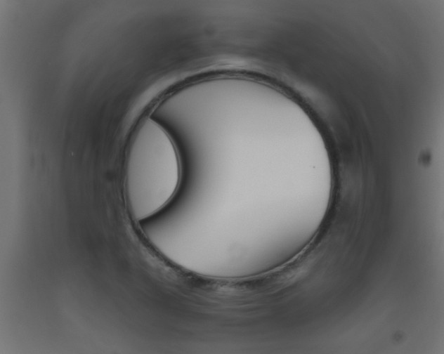 X0000093451318200710120958