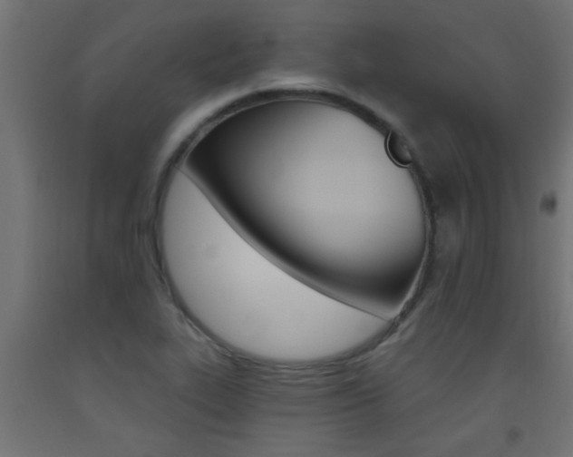 X0000093451319200710120958