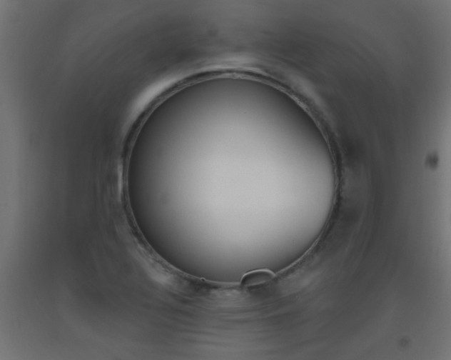X0000093451320200710120958