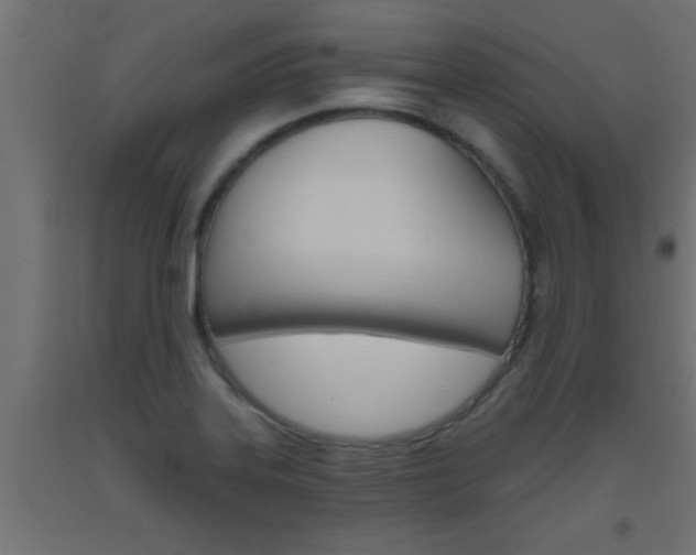 X0000093451323200710120958