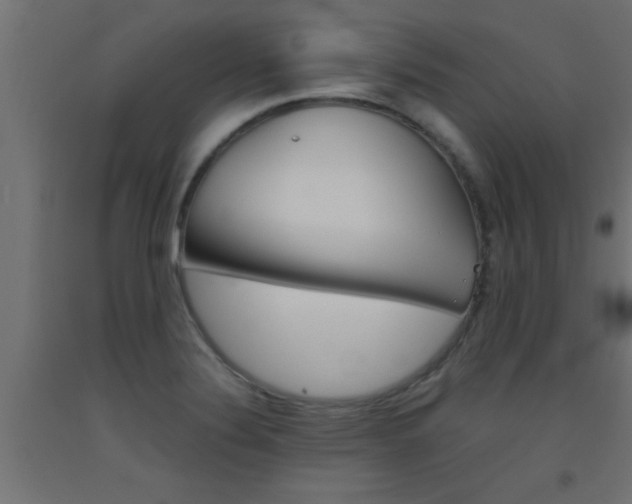 X0000093451324200710120958