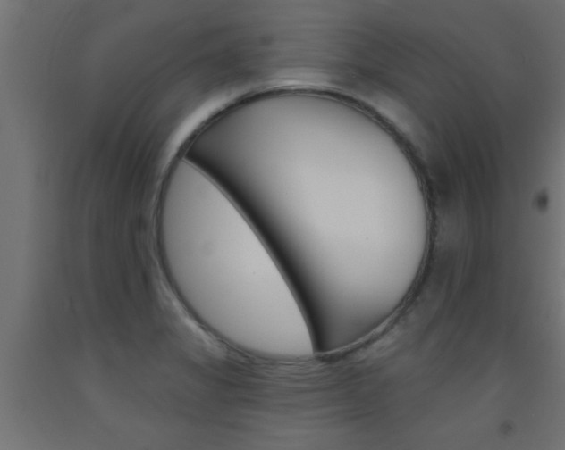X0000093451325200710120958