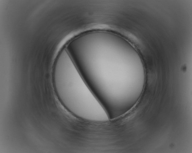 X0000093451326200710120958