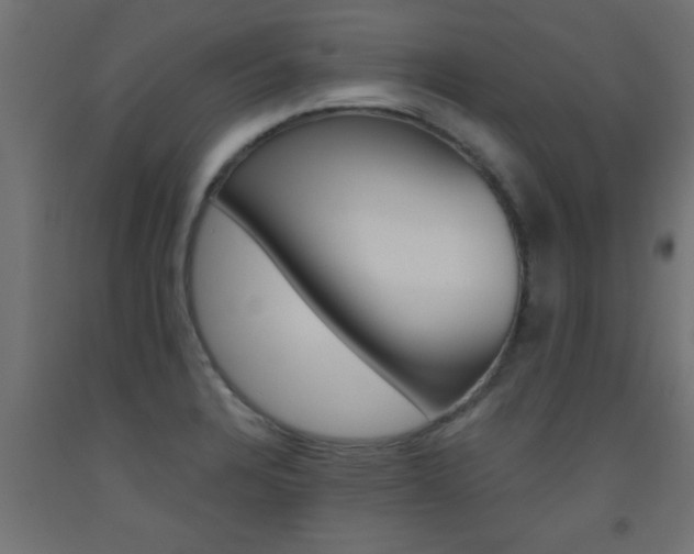 X0000093451328200710120958