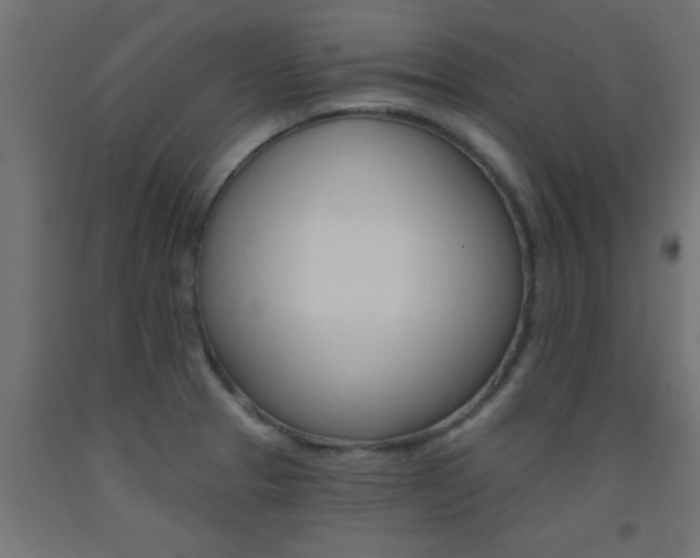X0000093451329200710120958
