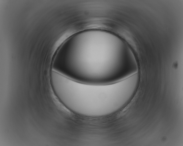 X0000093451330200710120958