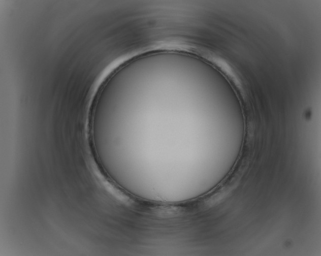 X0000093451331200710120958