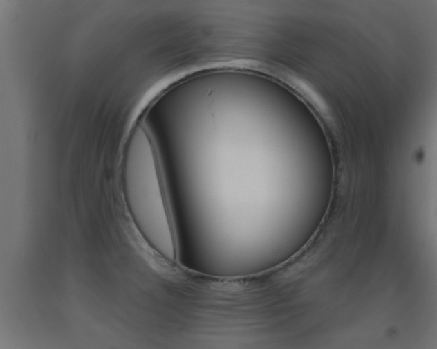 X0000093451332200710120958