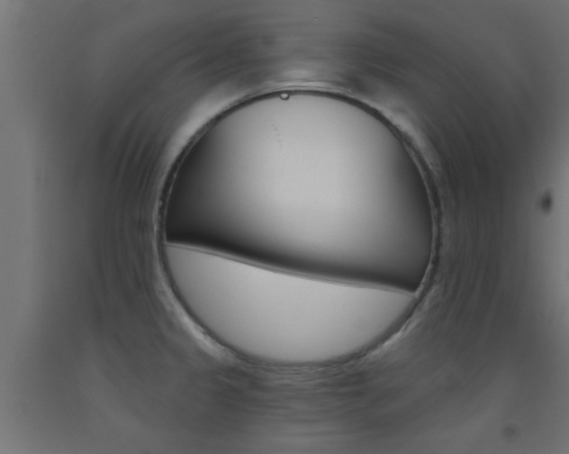 X0000093451333200710120958