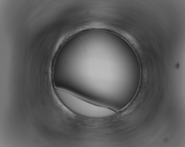 X0000093451334200710120958