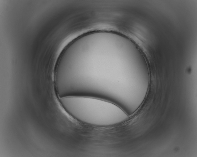 X0000093451335200710120958