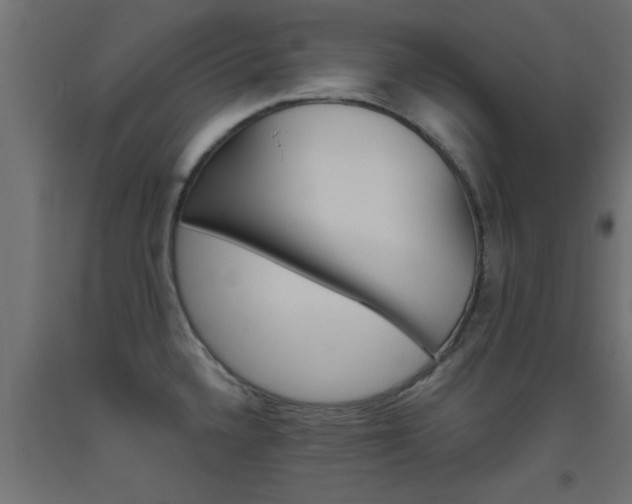 X0000093451336200710120958