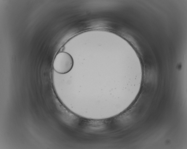 X0000093451338200710120958