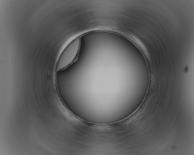 X0000093451340200710120958