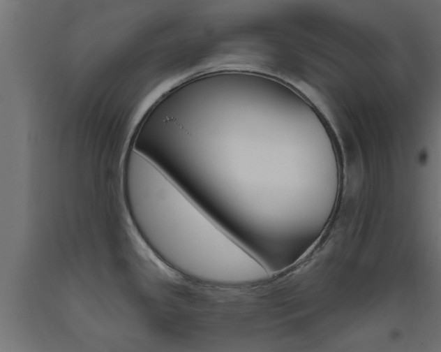 X0000093451341200710120958