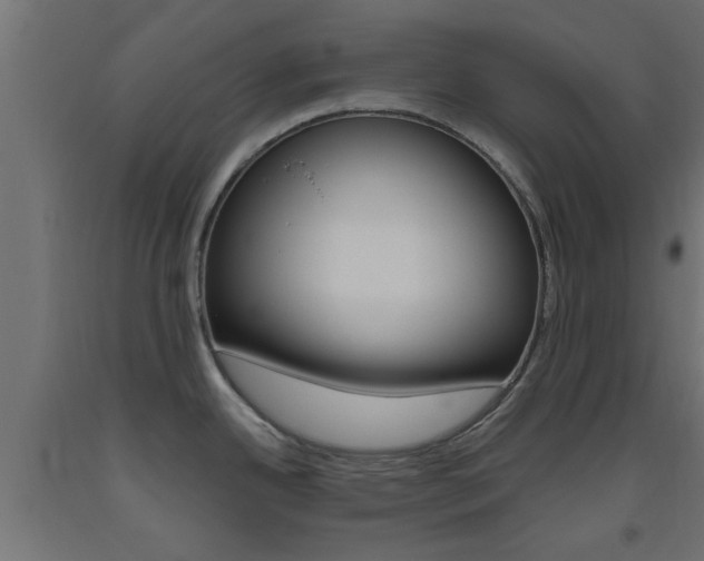 X0000093451342200710120958