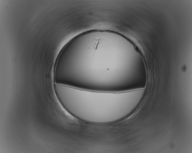 X0000093451343200710120958