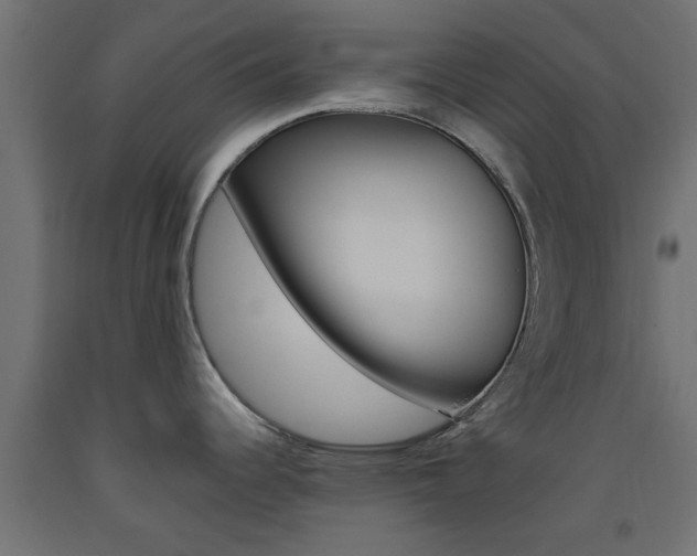 X0000093451344200710120958