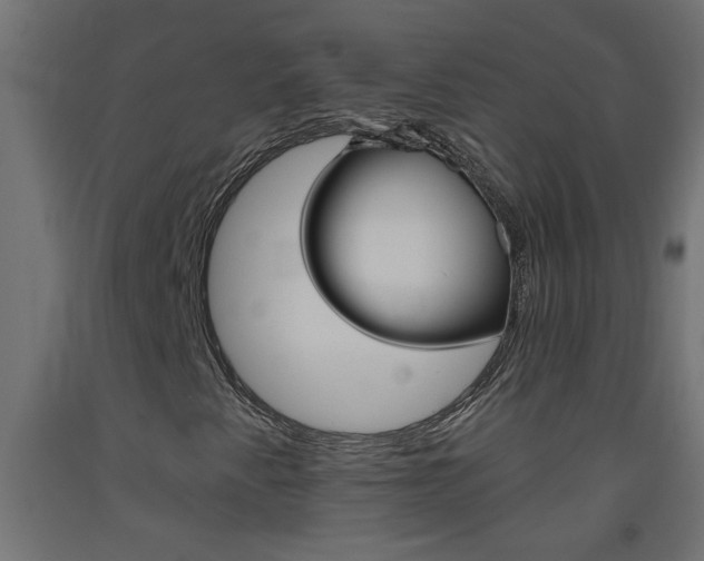 X0000093451345200710120957