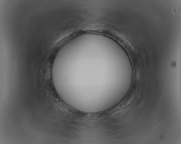 X0000093451350200710120957