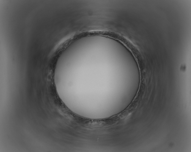 X0000093451351200710120957