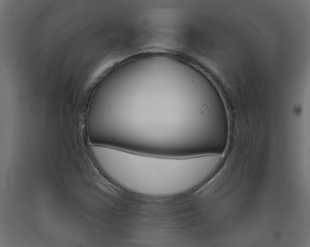 X0000093451355200710120957