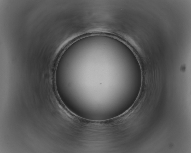 X0000093451356200710120957