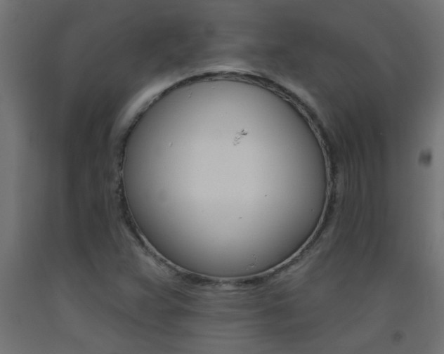 X0000093451359200710120957
