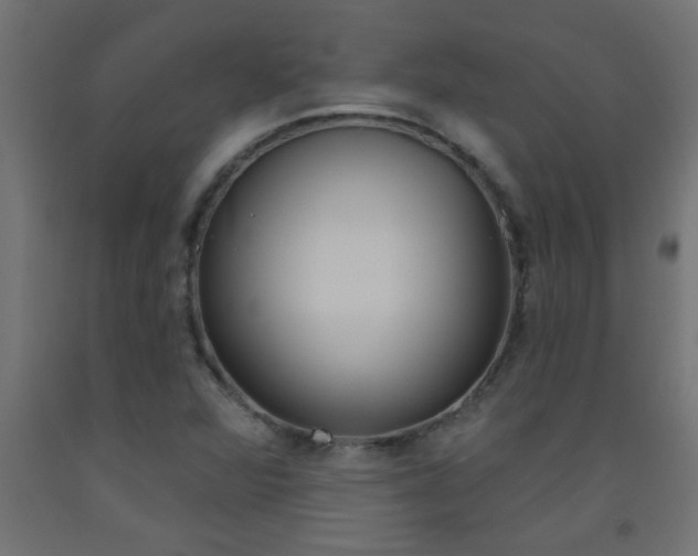 X0000093451360200710120957