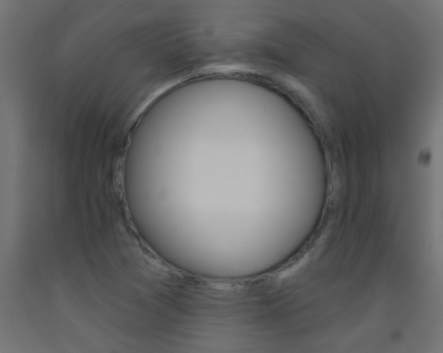 X0000093451361200710120957