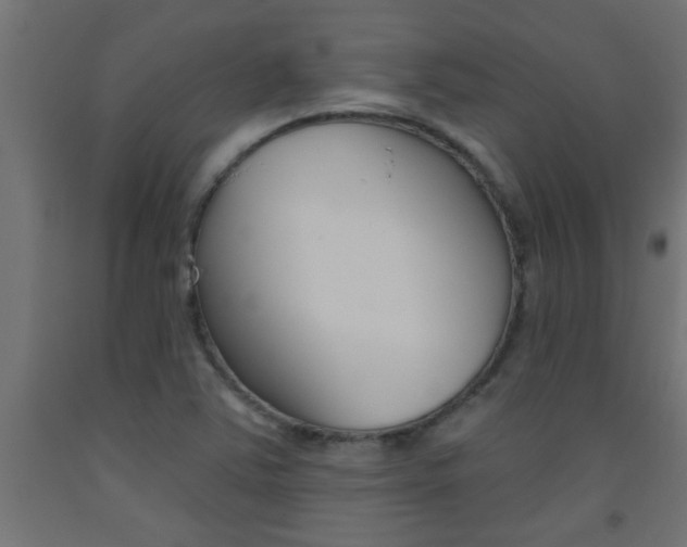 X0000093451363200710120957