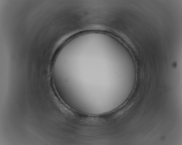 X0000093451364200710120957