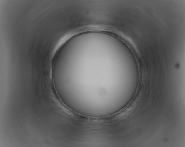 X0000093451365200710120957